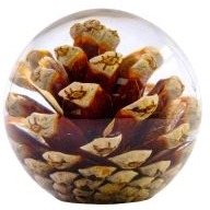 Resin Sphere - Handcraftered w Real Pinecone