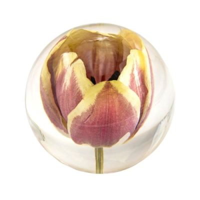 Resin Sphere - Handcraftered w Real Tulip -  15305