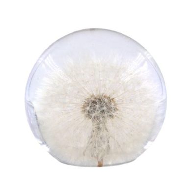 Resin Sphere - Handcraftered w Real Dandelion -  15306