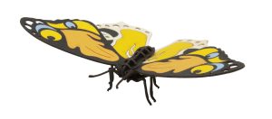 3D model, colourful butterfly, special cardboard